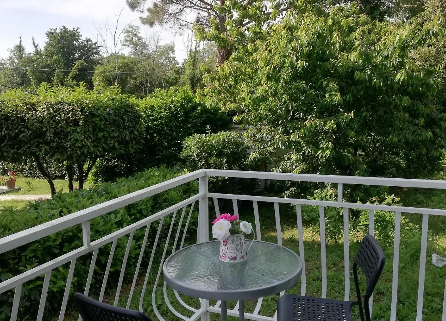 Porec Jadran Apartments